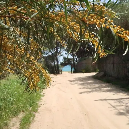 Вилла Surphinia By Interhome