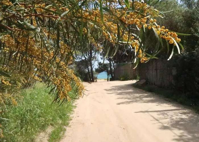 Villa Surphinia By Interhome